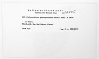 Colletotrichum gloeosporioides image